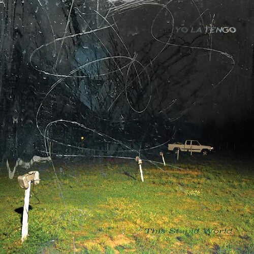Yo La Tengo, "This Stupid World"