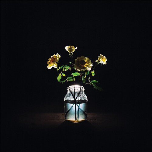 Billy Strings, "Renewal"