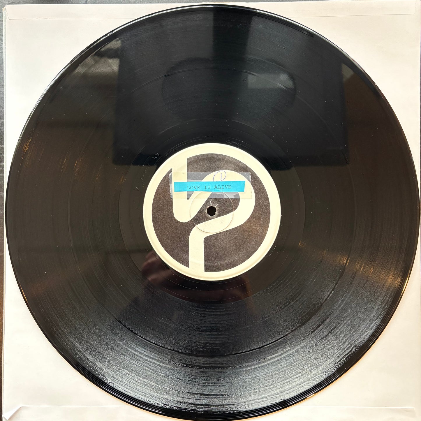 Johanna, "Love Is Alive" (12") [VG Used]