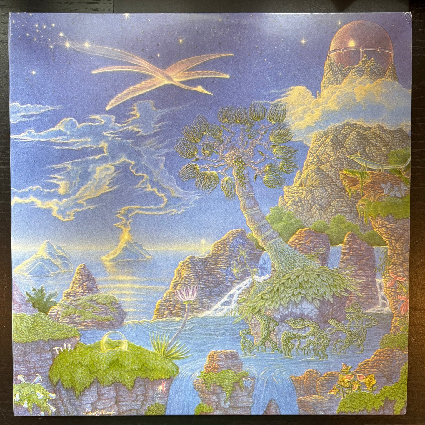Matthewdavid's Mindflight, "Trust the Guide and Glide" [VG Used]