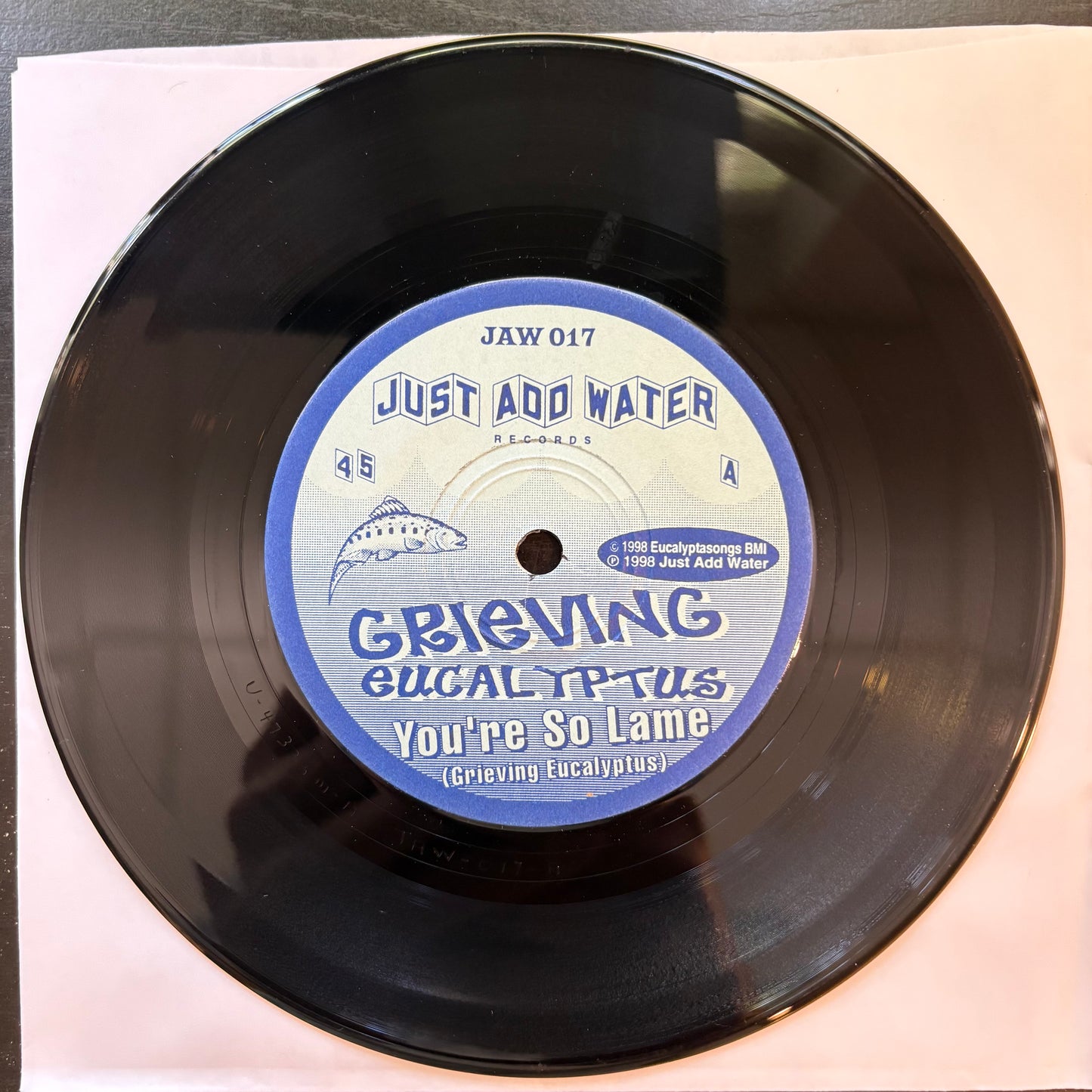 Grieving Eucalyptus, "You're So Lame" (7") [VG Used]