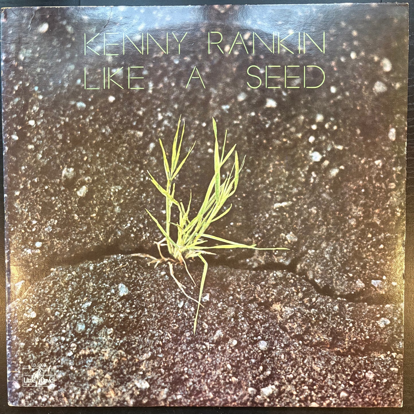 Kenny Rankin, "Like a Seed" [VG Used]