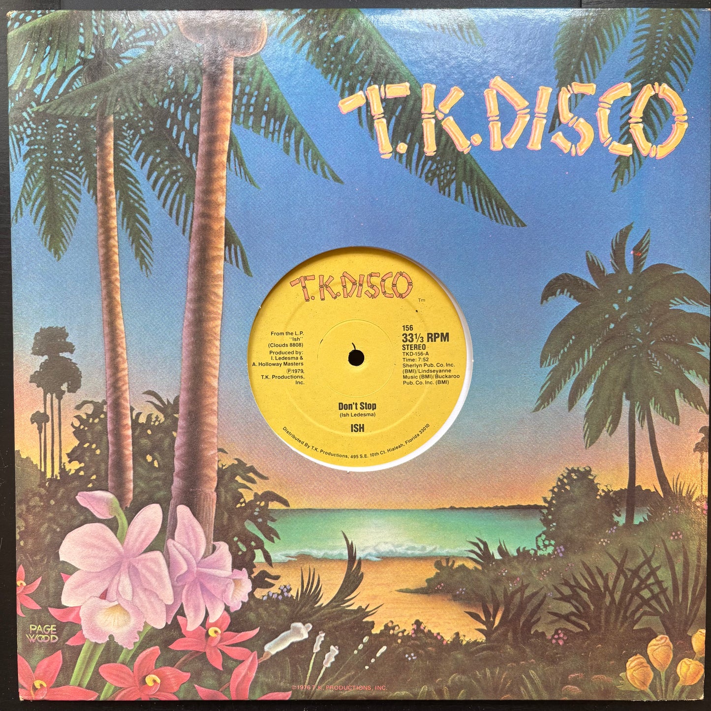Ish, "Don't Stop" (12") [VG Used]