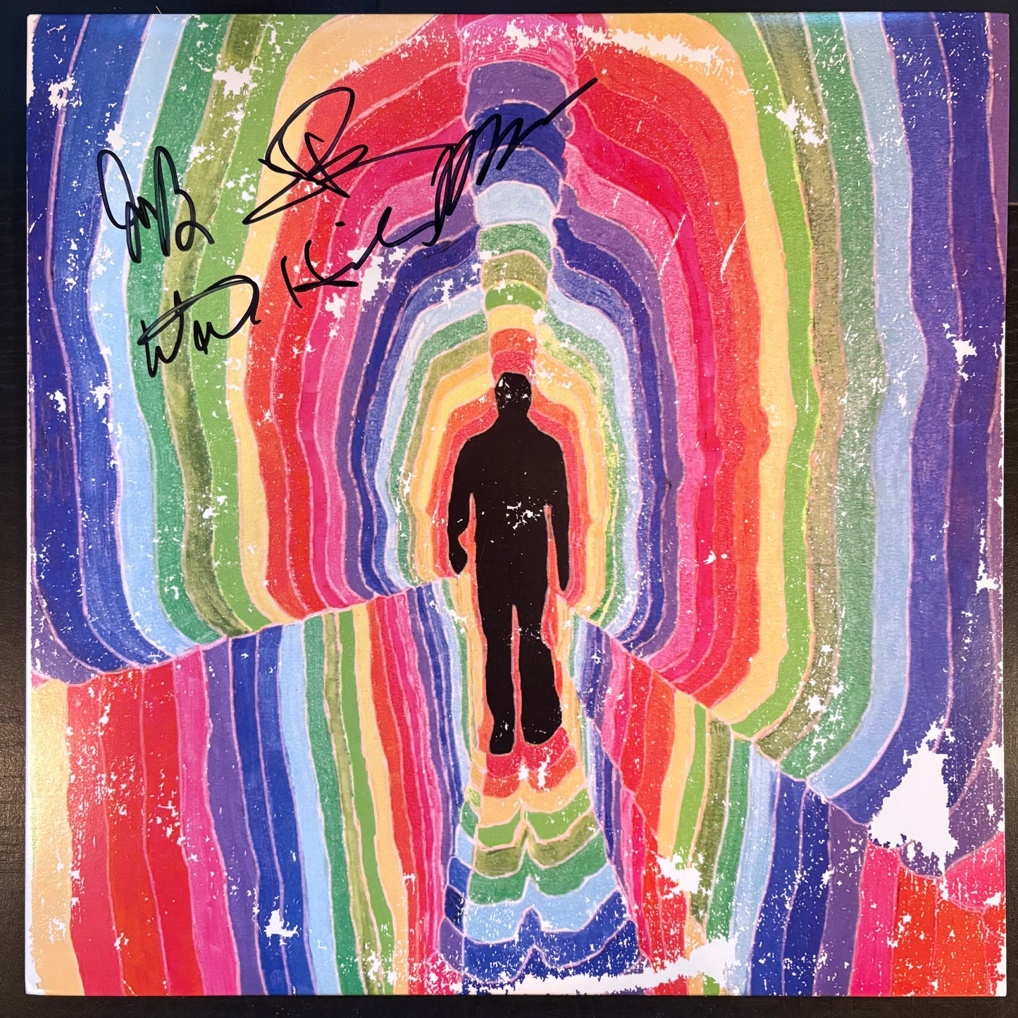 Sunbears!, "You Will Live Forever" (Signed / Brown Marbled Vinyl) [VG Used]