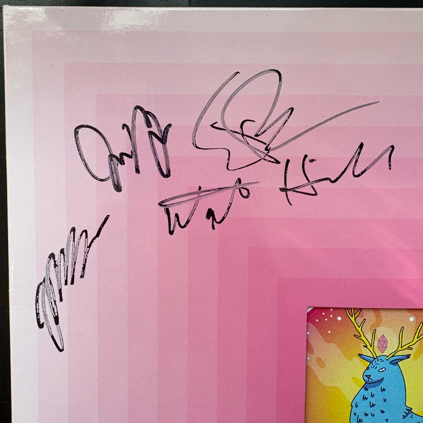 Sunbears!, "Future Sounds" (Signed) (Pink Marble Vinyl) [VG+ Used]