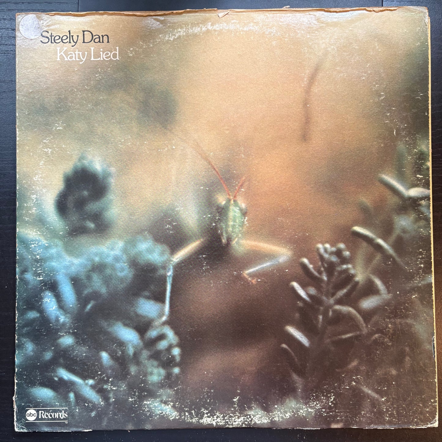 Steely Dan, "Katy Lied" (LP) [VG- Used]