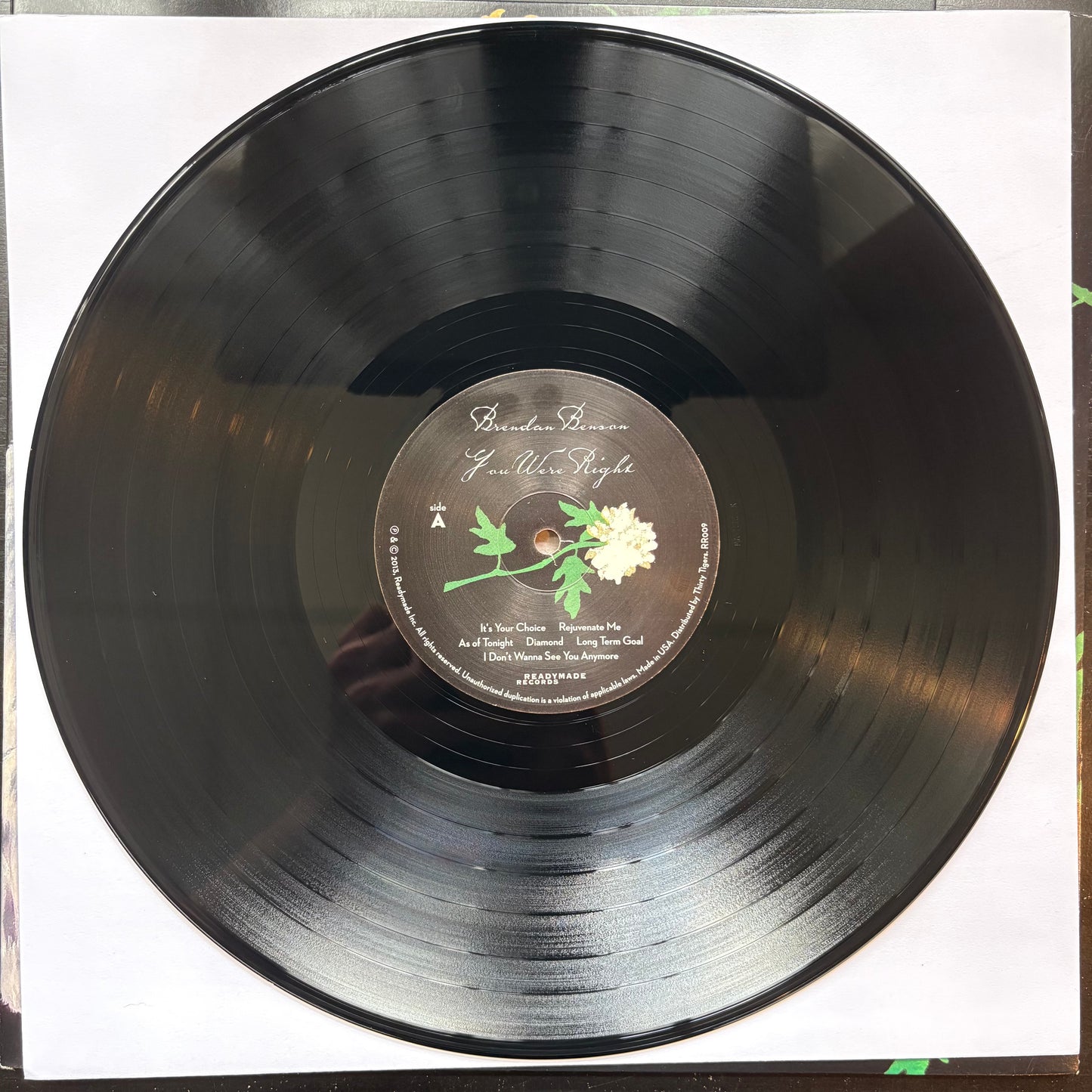 Brendan Benson, "You Were Right" (LP) [VG+ Used]