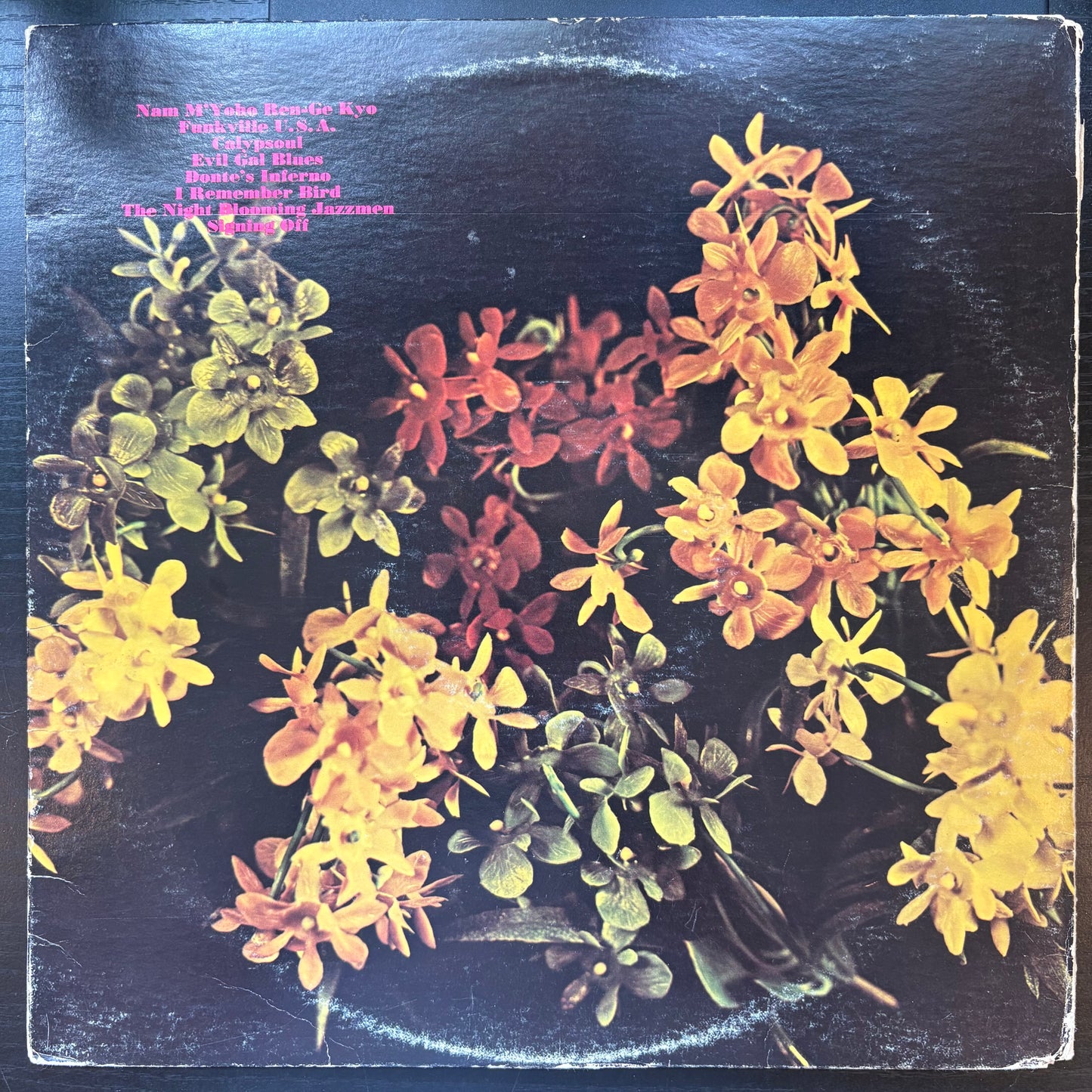 Night Blooming Jazzmen, "The Night Blooming Jazzmen" [VG- Used]