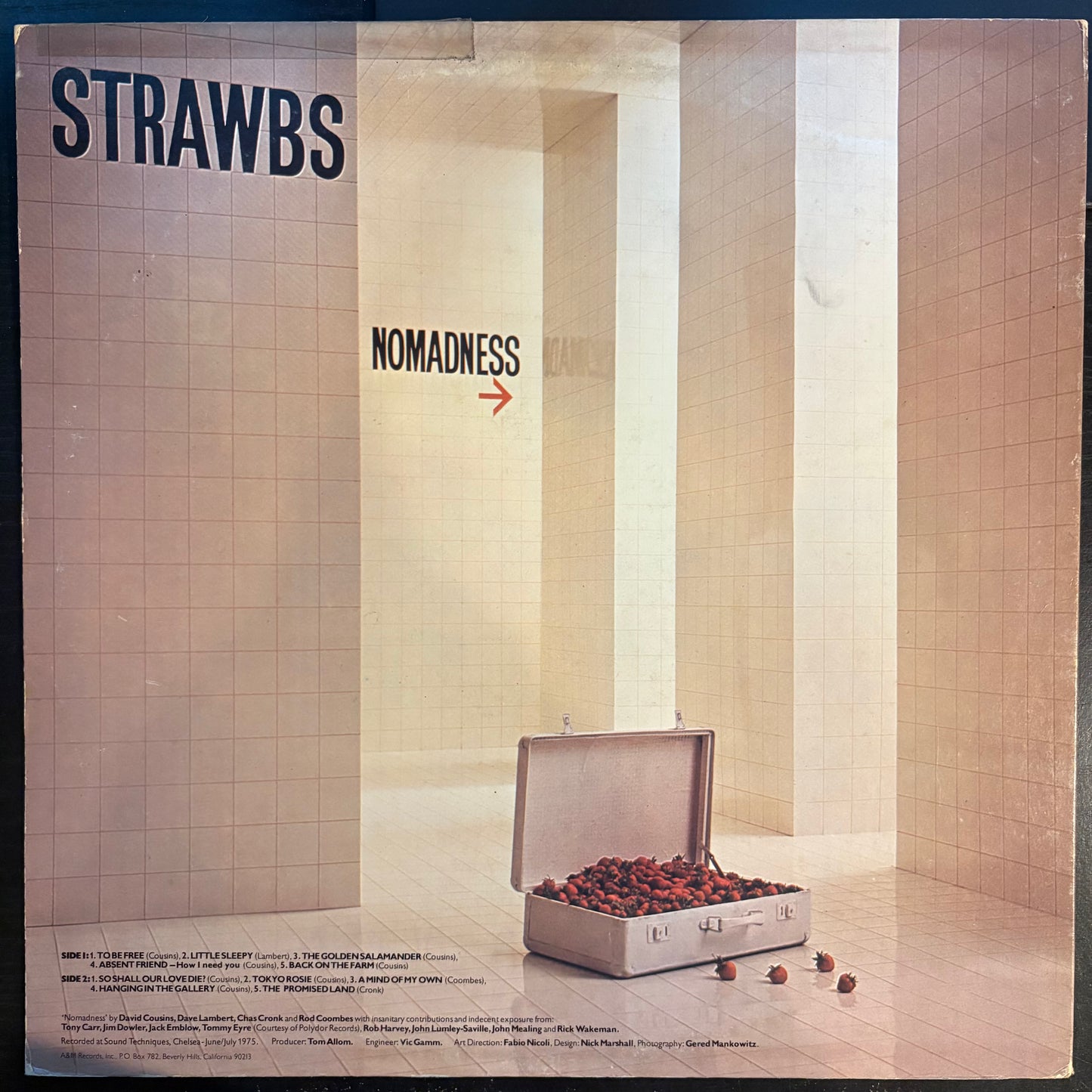 Strawbs, "Nomadness" [VG Used]