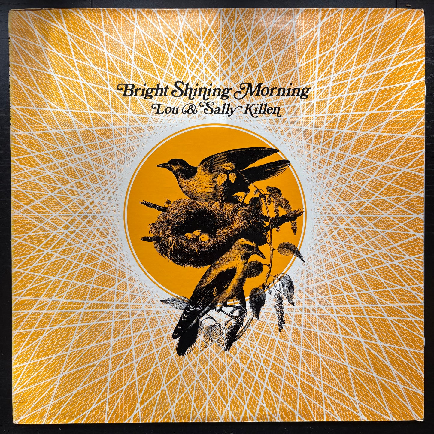 Lou & Sally Killen, "Bright Shining Morning" [VG Used]