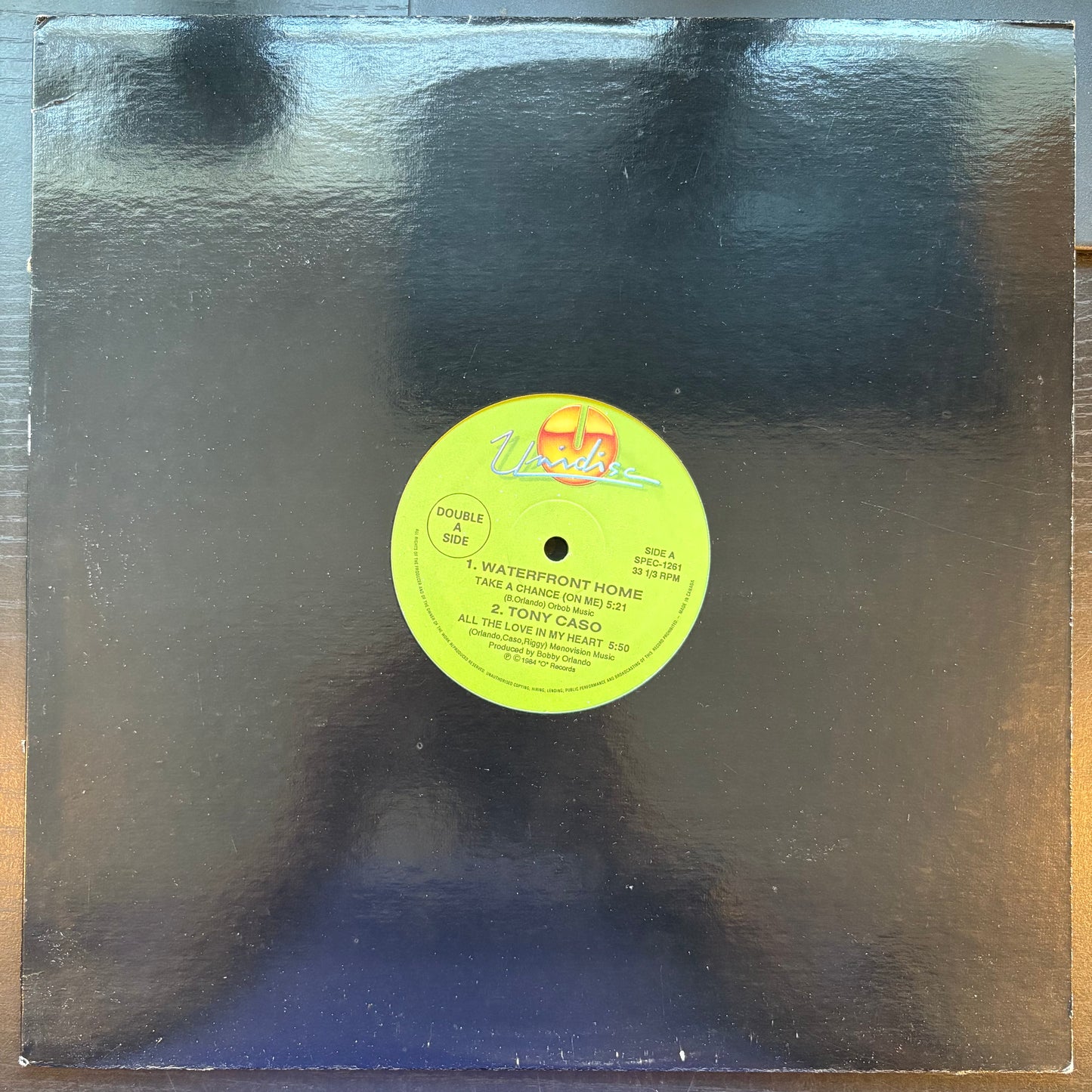 Waterfront Home / Tony Caso / Ray Vista / New York Models, "Double A Side" (12") [VG Used]