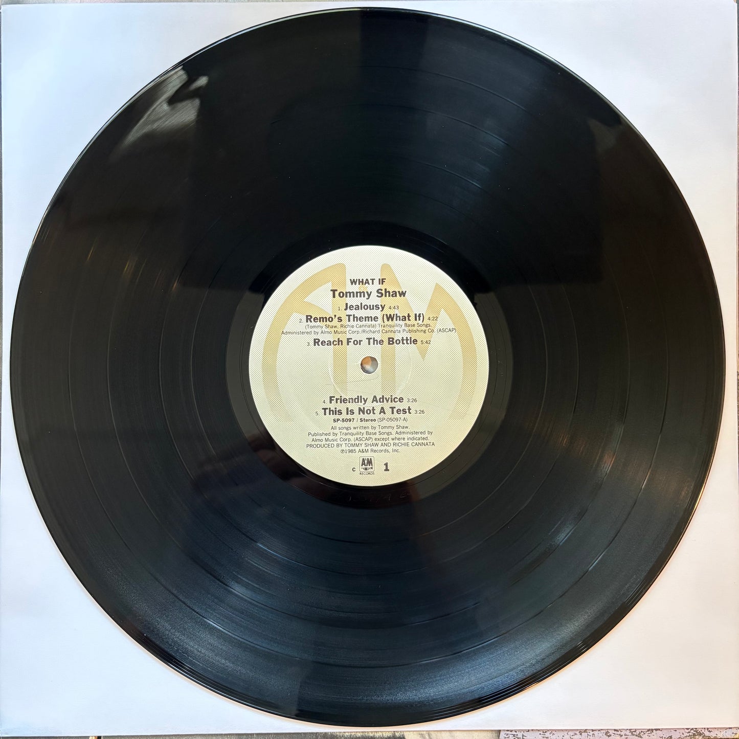 Tommy Shaw, "What If" [VG Used]