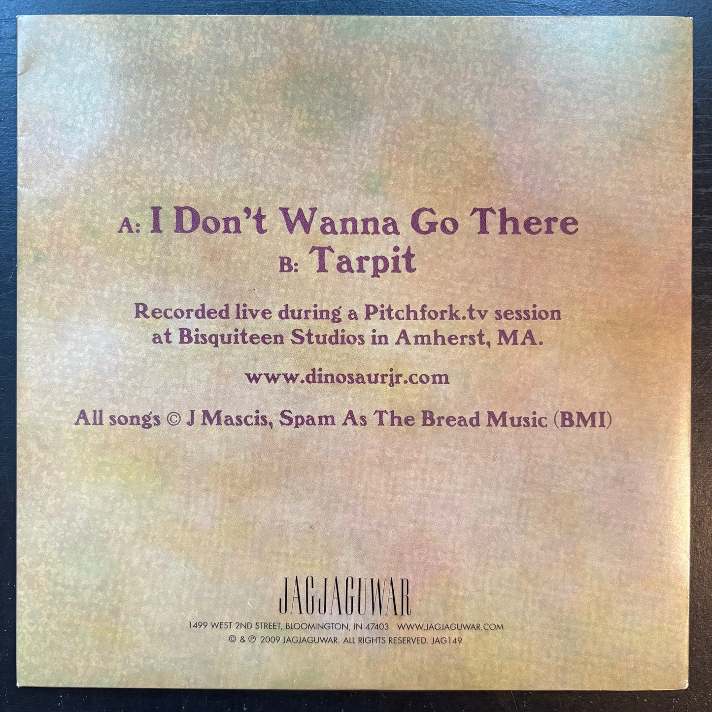 Dinosaur Jr., "I Don't Wanna Go There" (7") [VG+ Used]