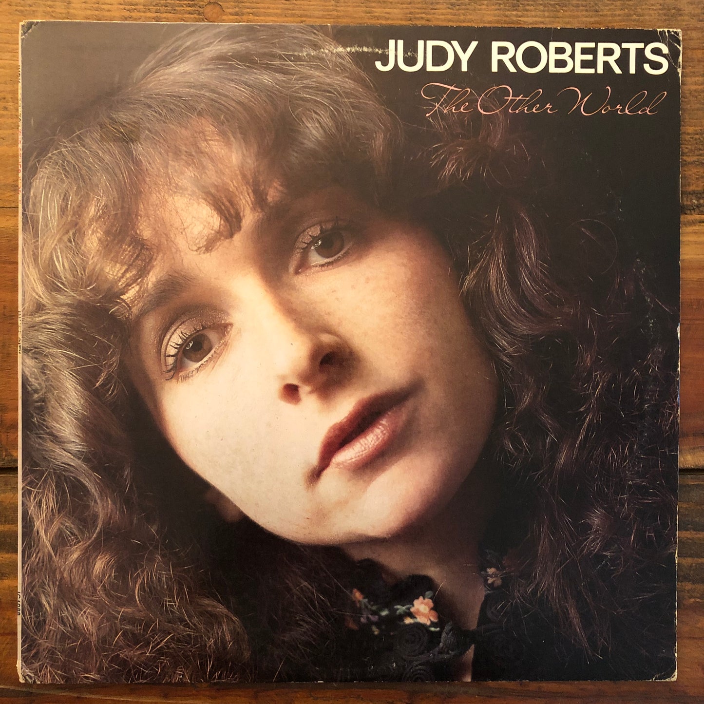 Judy Roberts, "The Other World" [Used]