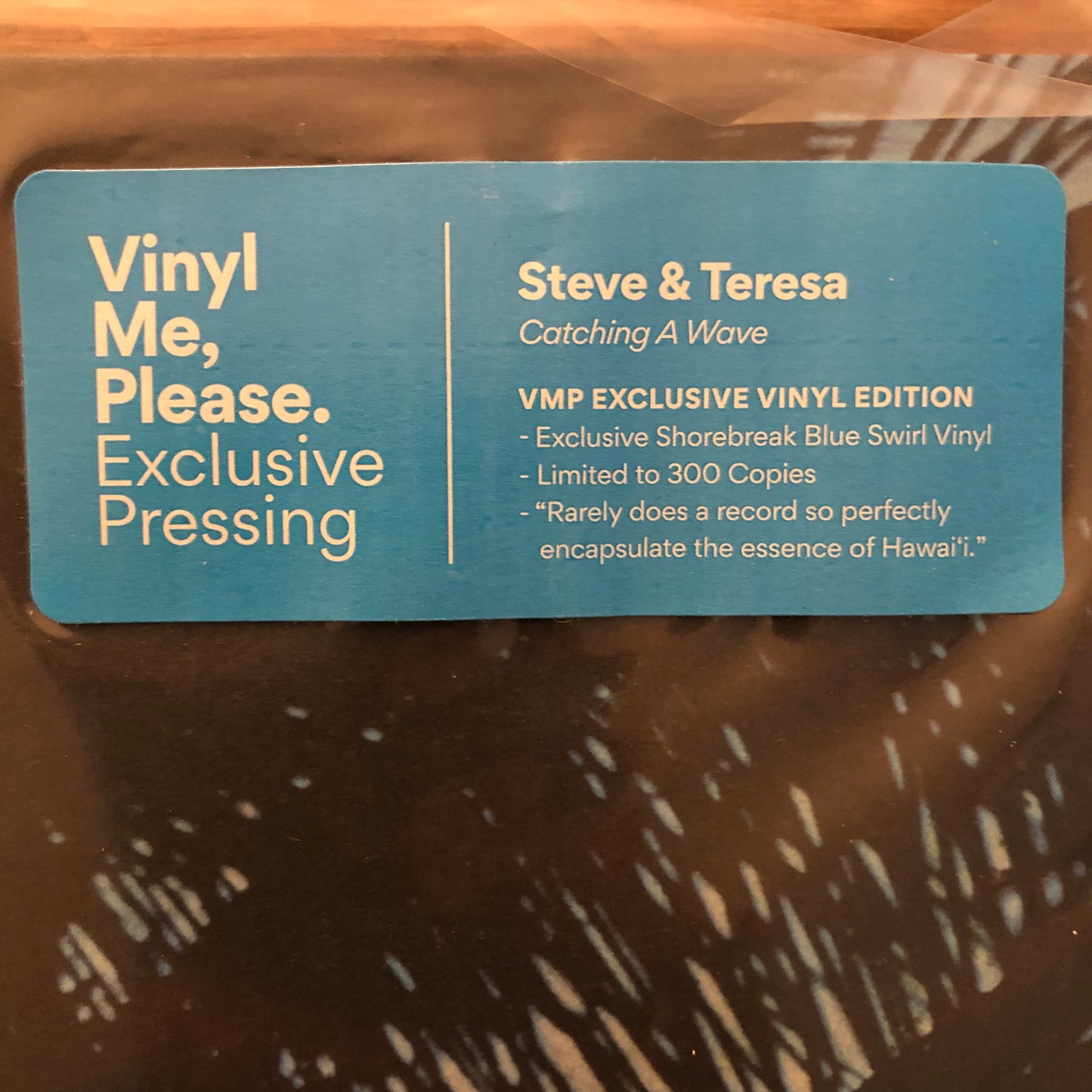 Steve & Teresa, "Catching a Wave" (Blue Swirl Vinyl) [Used]