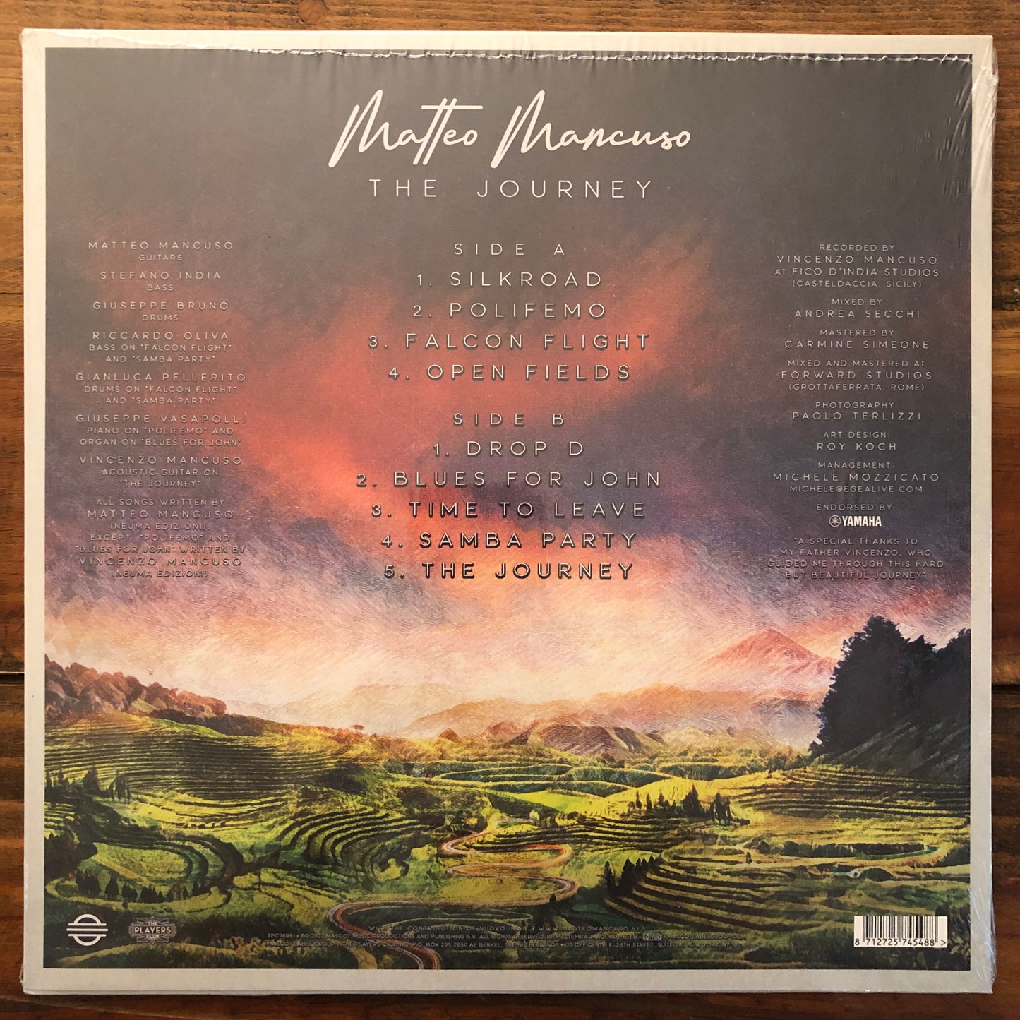 Matteo Mancuso, "The Journey" [Used]