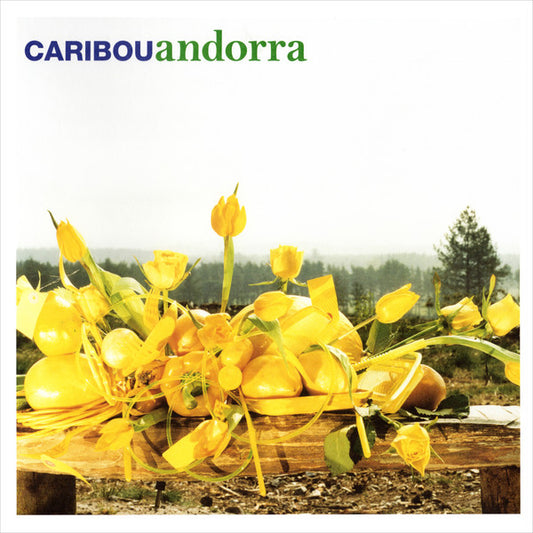 Caribou, "Andorra"