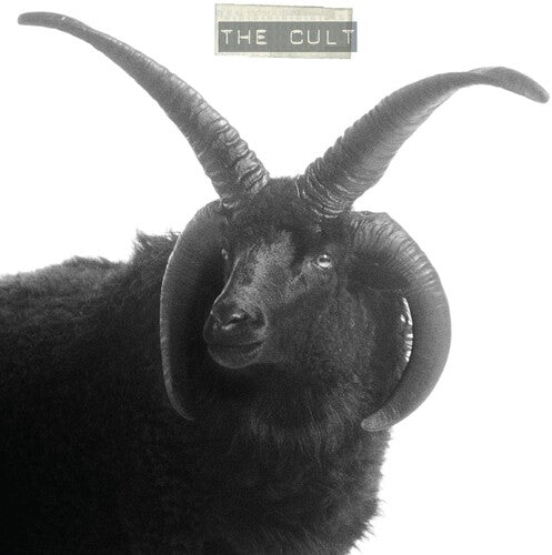 Cult, "The Cult" (Ivory Vinyl)