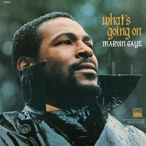 Marvin Gaye, "What's Going On" (180 Gram)