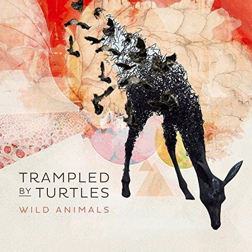 Trampled by Turtles, "Wild Animals"