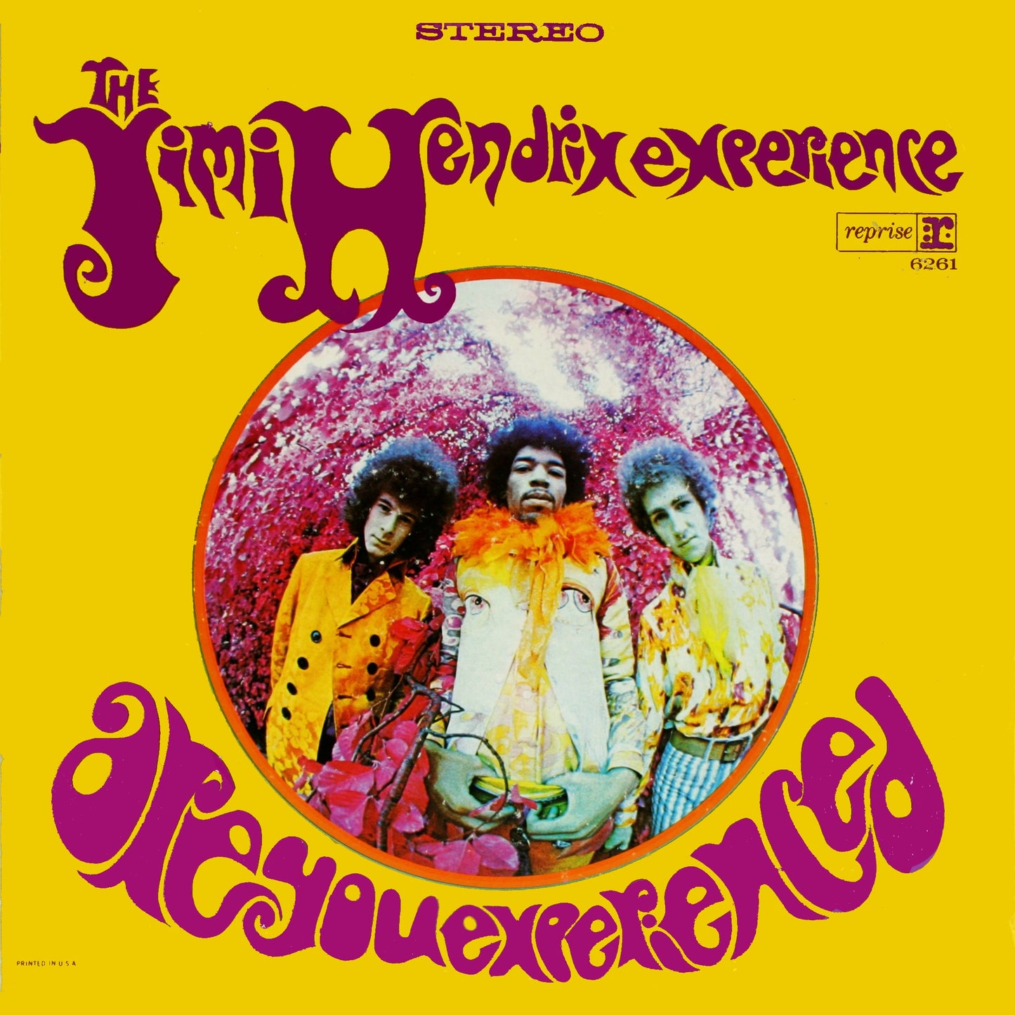 Jimi Hendrix Experience, "Are You Experienced?" (180 Gram)